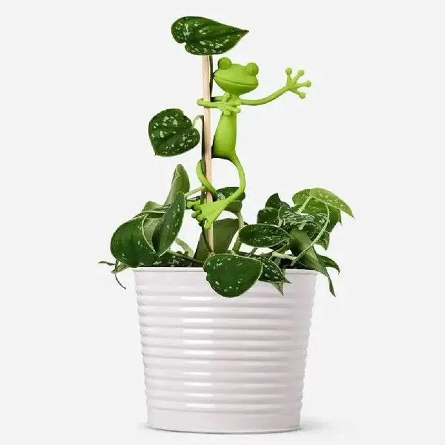 5 Pcs Frog Shaped Plant Tie Reusable Cable Wire Garden Plant Vine Flower Vegetable Clip Adjustable Flexible Supporter
5 Pcs Frog Shaped Plant Tie Reusable Cable Wire Garden Plant Vine Flower Vegetable Clip Adjustable Flexible Supporter