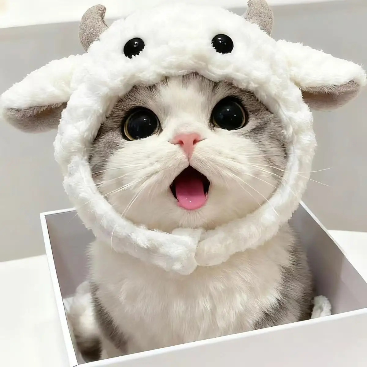 New Cat Head Cover Pet Doll Head Cover Plush Doll Autumn/Winter Head Cover Decoration
New Cat Head Cover Pet Doll Head Cover Plush Doll Autumn/Winter Head Cover Decoration