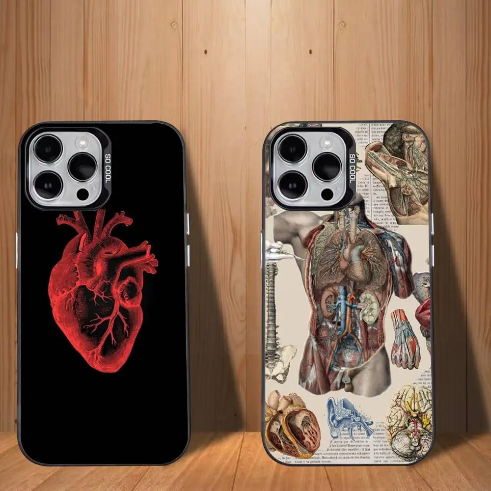 Human A-Anatomy MedicalS Phone Case For iPhone 17,16,15,14,13,12,11,Mini,Pro,SE,MAX White Matte Shockproof Cover
Human A-Anatomy MedicalS Phone Case For iPhone 17,16,15,14,13,12,11,Mini,Pro,SE,MAX White Matte Shockproof Cover