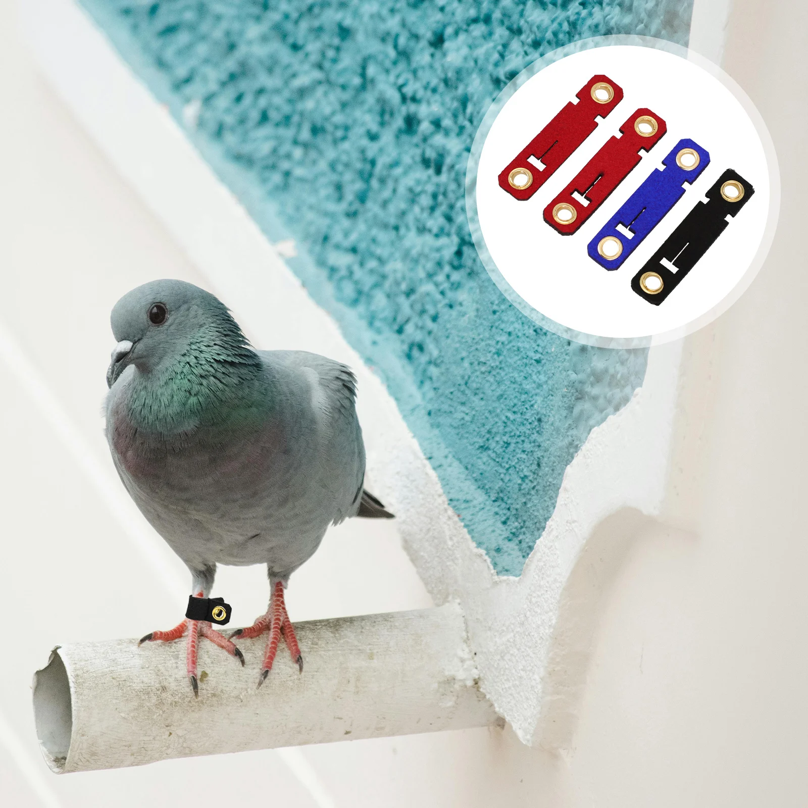 4 Sets Suede Bird Foot Rings For Parrots Pigeons Chicken Reusable Identification Bands Multiple Colors Easy Removal Bird
4 Sets Suede Bird Foot Rings For Parrots Pigeons Chicken Reusable Identification Bands Multiple Colors Easy Removal Bird