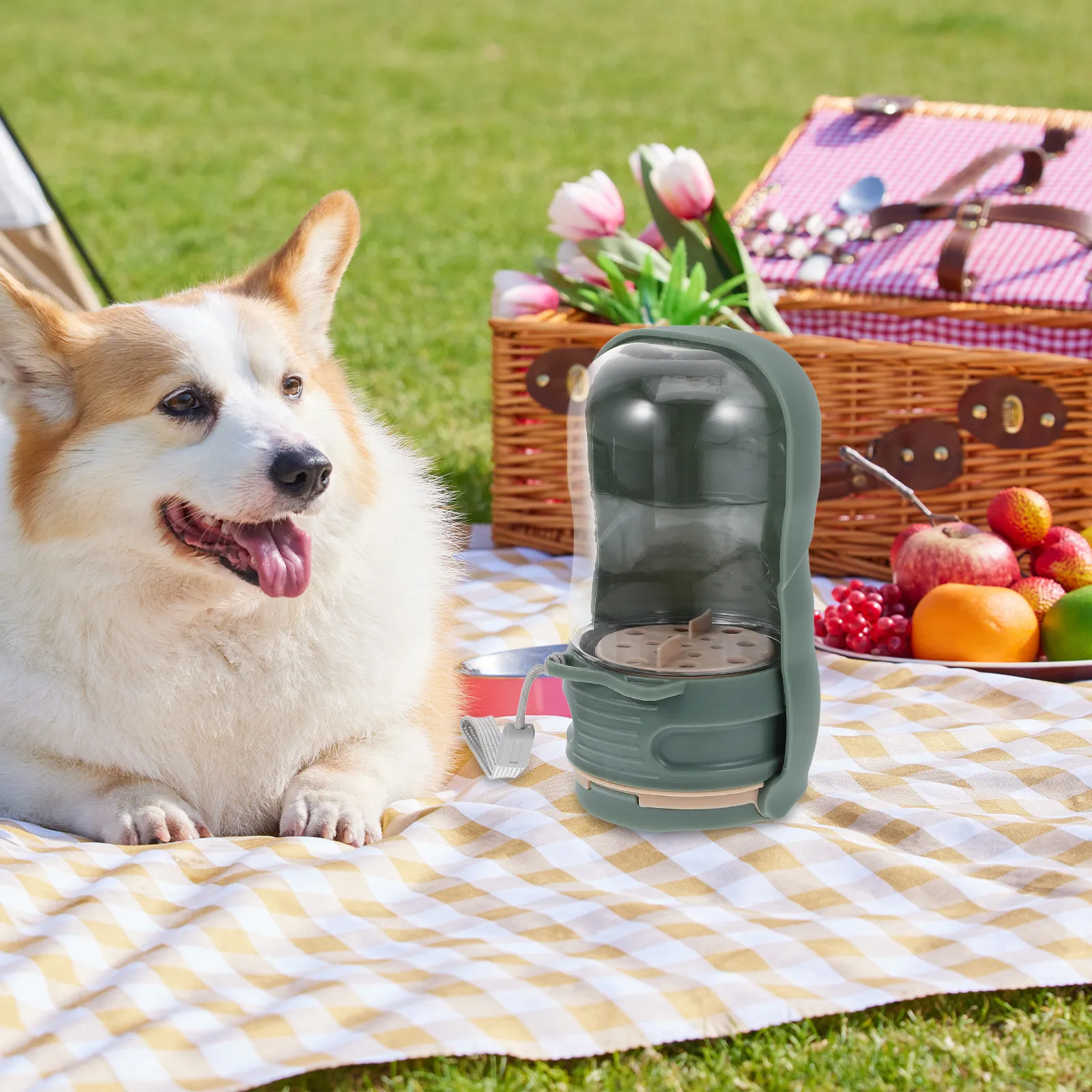 Портативная многофункциональная бутылка для воды для собак, герметичная, для прогулок, походов, кемпинга, путешествий на природе, для щенков
Портативная многофункциональная бутылка для воды для собак, герметичная, для прогулок, походов, кемпинга, путешествий на природе, для щенков