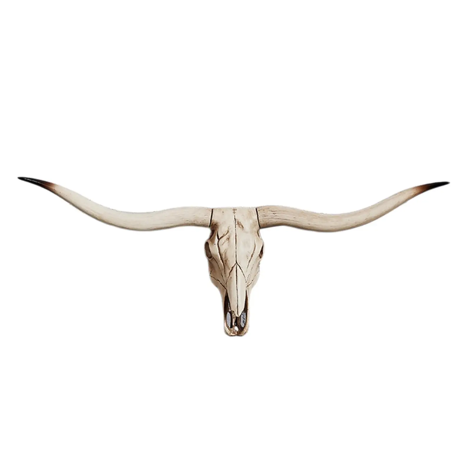 animal skulls head decors Longhorn Skull Skull Decor Wall Decor 3D for Bedroom
animal skulls head decors Longhorn Skull Skull Decor Wall Decor 3D for Bedroom