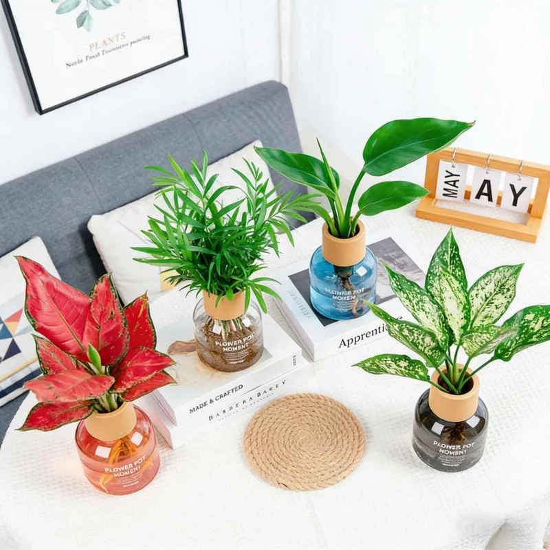 Resin Imitation Glass Transparent Plastic Vase Hydroponic Planter Aromatherapy Plant Container Living Room Decorative Ornament C
Resin Imitation Glass Transparent Plastic Vase Hydroponic Planter Aromatherapy Plant Container Living Room Decorative Ornament C