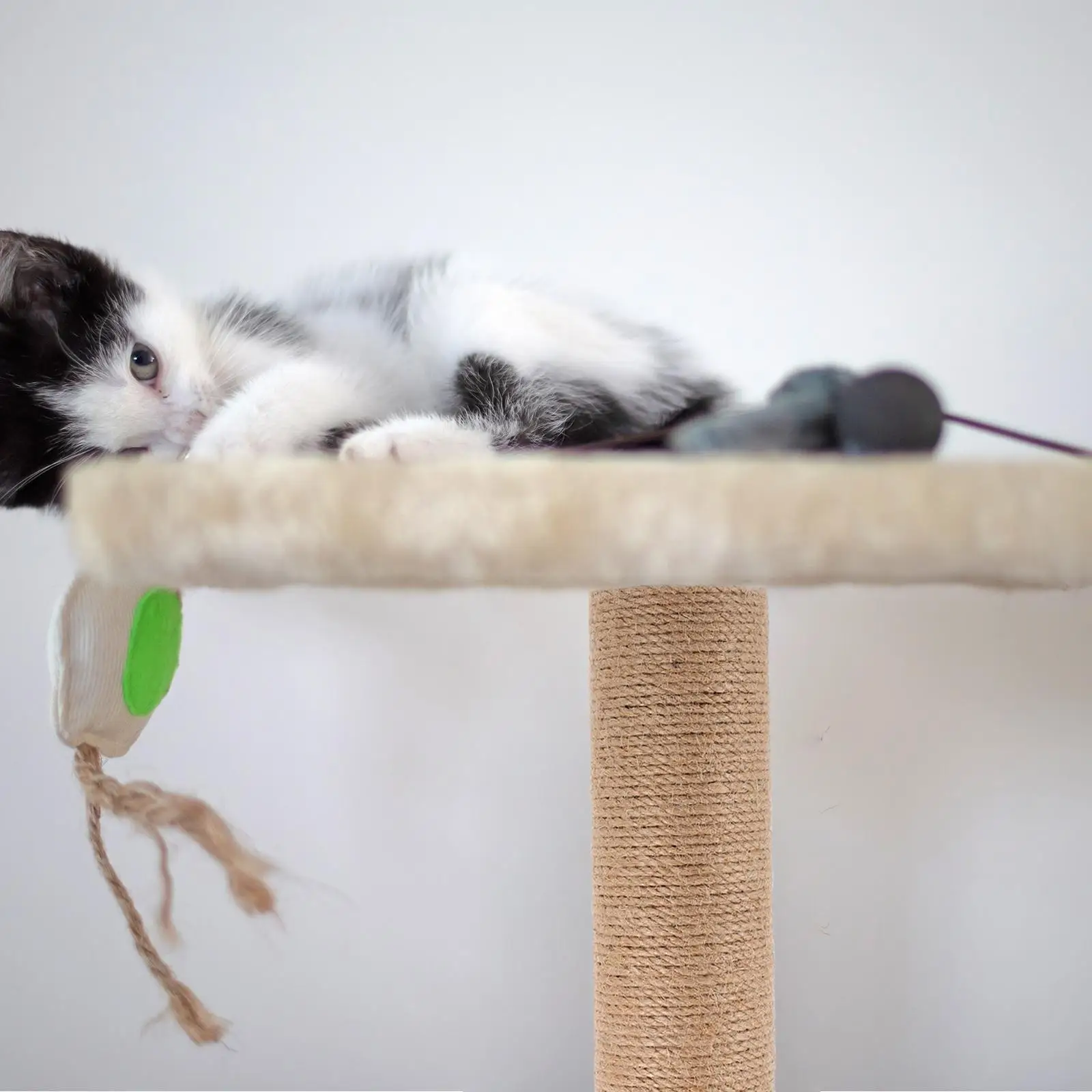 Cat Scratching Post Replacement Durable Jute Rope Climbing Frame Accessories Wear Resistant Reusable Pole Indoor Cats Scratchers
Cat Scratching Post Replacement Durable Jute Rope Climbing Frame Accessories Wear Resistant Reusable Pole Indoor Cats Scratchers