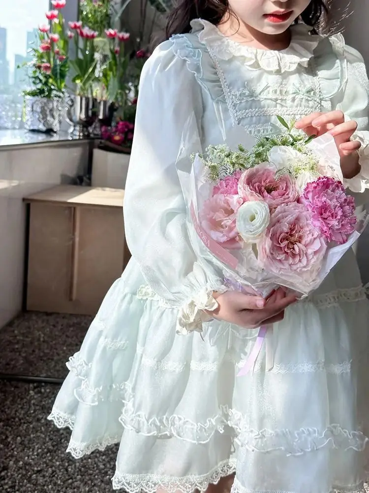 Girls' Spring and Autumn New Lolita Dress Fashion Children's Princess Long Sleeve Puff Dress
Girls' Spring and Autumn New Lolita Dress Fashion Children's Princess Long Sleeve Puff Dress