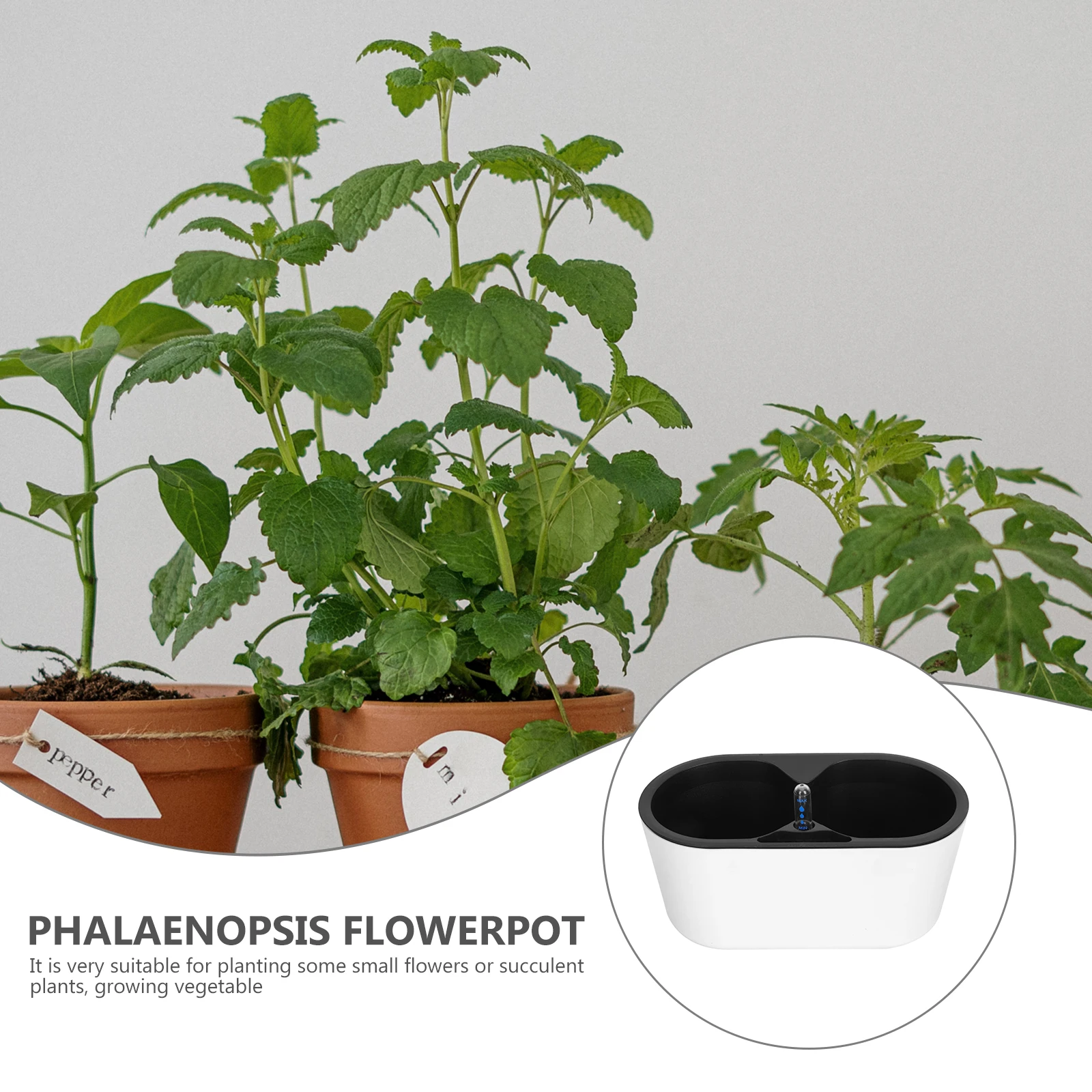 1 Set Automatic Self Watering Flowerpot Water Level Indicator Durable Plastic Garden Planter Balcony Home Office Decoration Easy
1 Set Automatic Self Watering Flowerpot Water Level Indicator Durable Plastic Garden Planter Balcony Home Office Decoration Easy