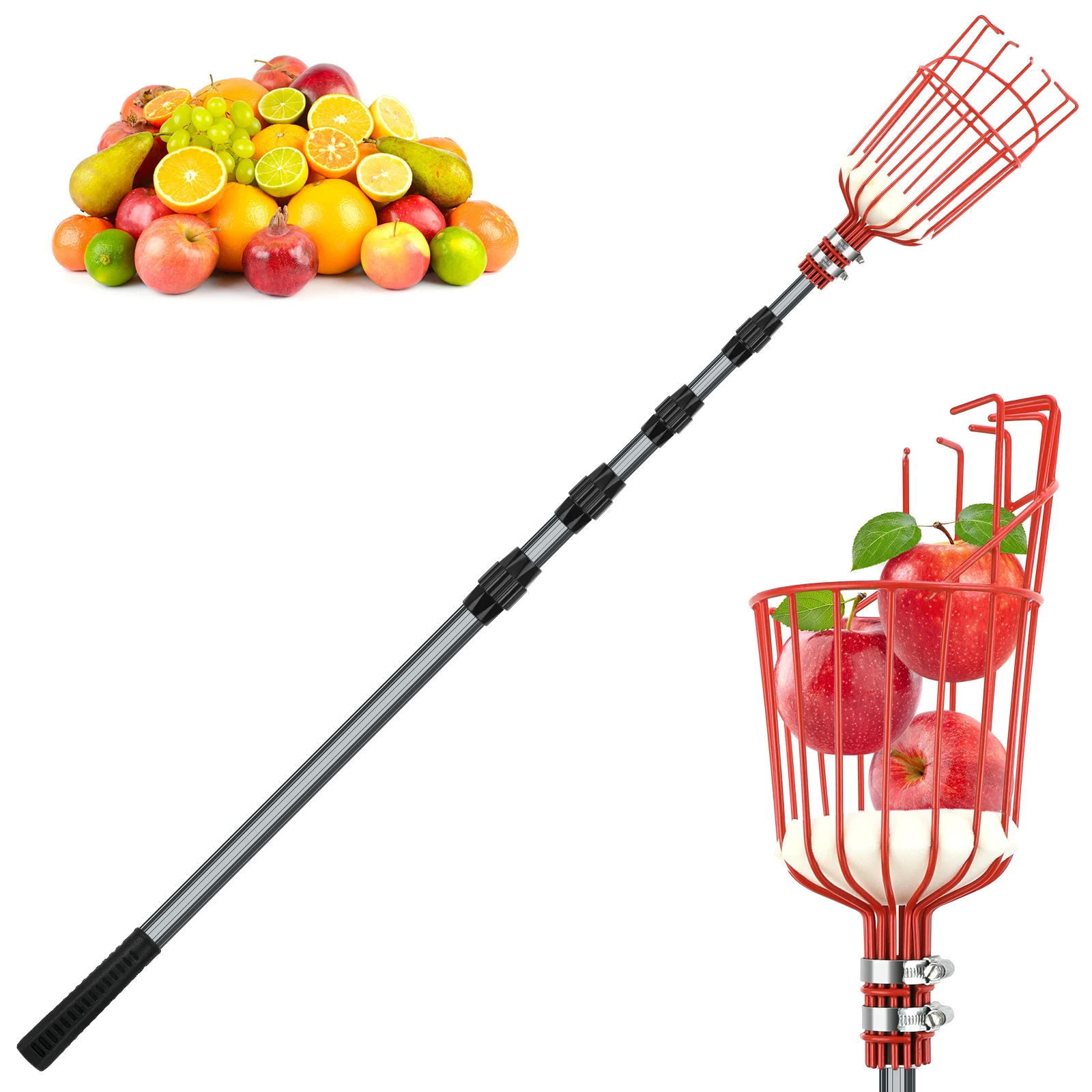 Fruit Picker Tool 5M/3.6M Telescoping Fruit Picker Pole, Easy to Assemble Twist-On Apple Basket, Lightweight Aluminum Fruit Pick
Fruit Picker Tool 5M/3.6M Telescoping Fruit Picker Pole, Easy to Assemble Twist-On Apple Basket, Lightweight Aluminum Fruit Pick