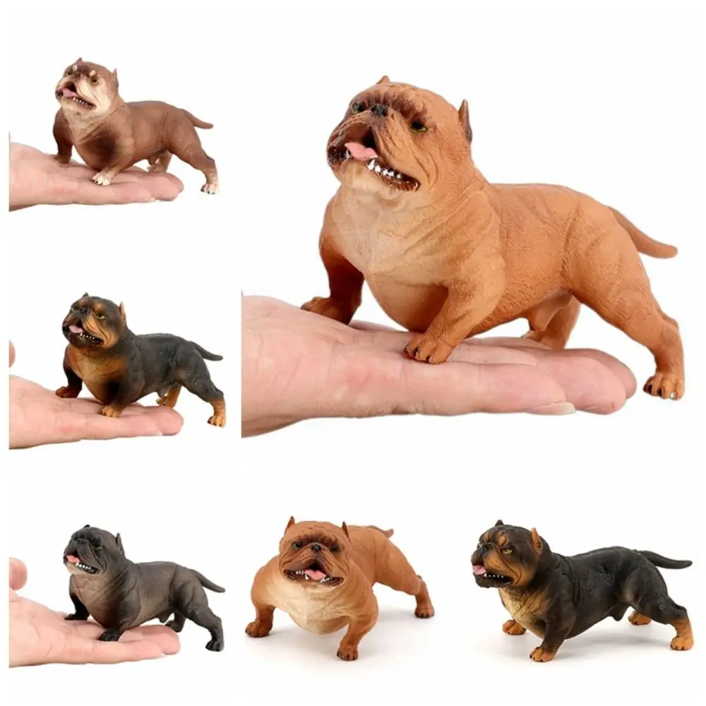 Garden Decor Animal Model Bulldog Model Ornaments Educational Simulation Bulldog Solid Realistic Pitbull Figurine Collection
Garden Decor Animal Model Bulldog Model Ornaments Educational Simulation Bulldog Solid Realistic Pitbull Figurine Collection