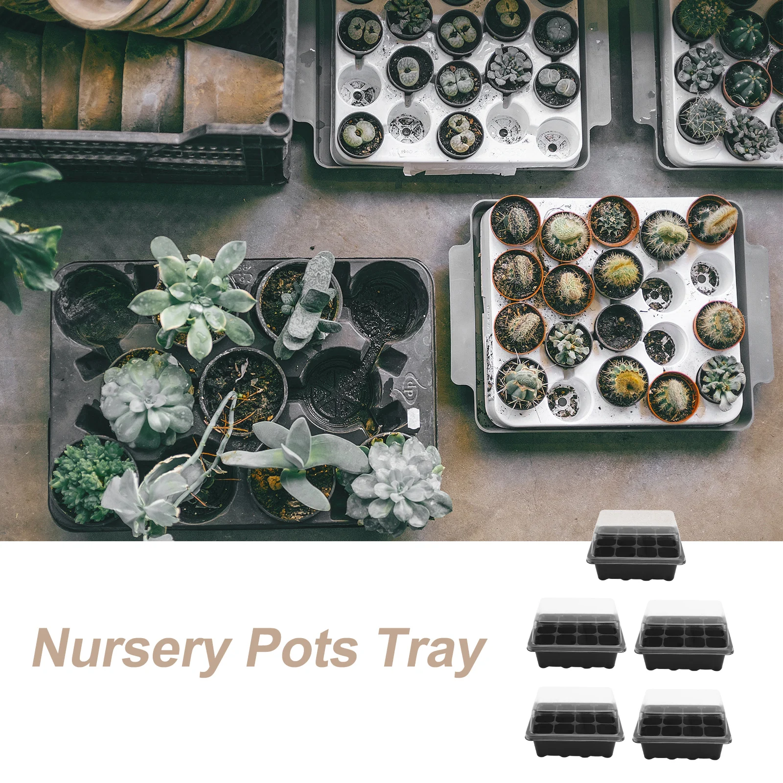 5 Pcs Nursery Box Set Growing Trays Sprouter Tray Miniature Plate Lightweight Plastic Transparent Lid Insulation Moisturizing
5 Pcs Nursery Box Set Growing Trays Sprouter Tray Miniature Plate Lightweight Plastic Transparent Lid Insulation Moisturizing