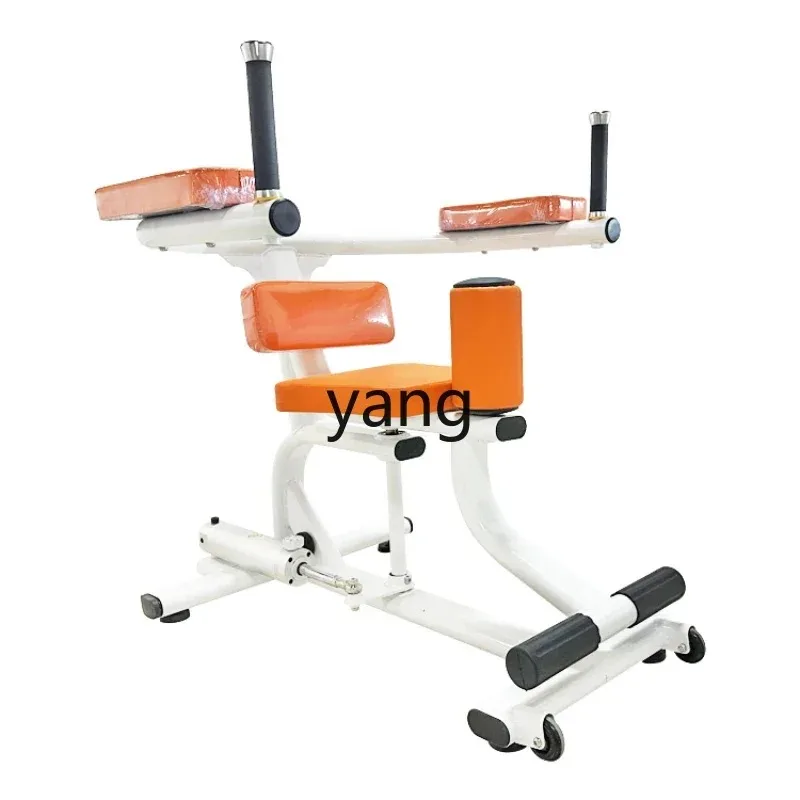 LH waist and abdomen trainer, indoor fitness equipment for the elderly
LH waist and abdomen trainer, indoor fitness equipment for the elderly