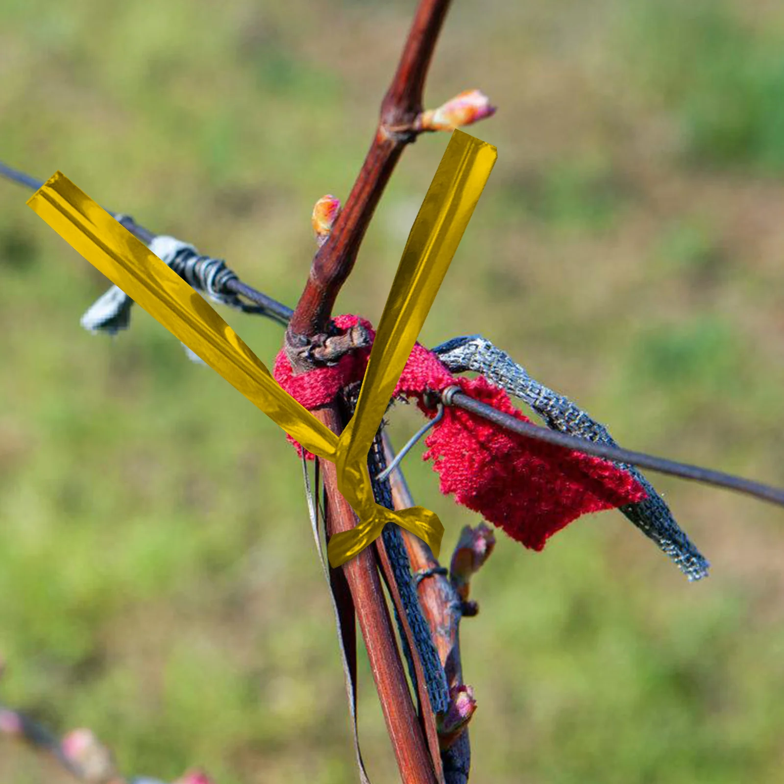 Gardening Ties 350m Red Soft Plant Straps Cable Wire for Use Reusable Vines Support Twine Plants Fixing Household
Gardening Ties 350m Red Soft Plant Straps Cable Wire for Use Reusable Vines Support Twine Plants Fixing Household