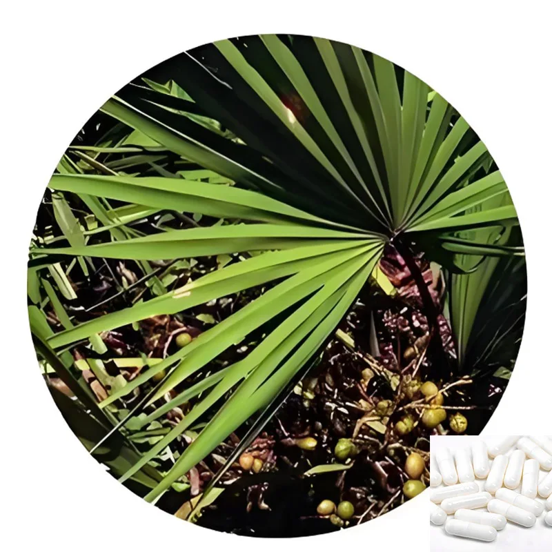 Saw Palmetto Extract Capsule 45% fatty acid Prostate Health Support Supplement
Saw Palmetto Extract Capsule 45% fatty acid Prostate Health Support Supplement