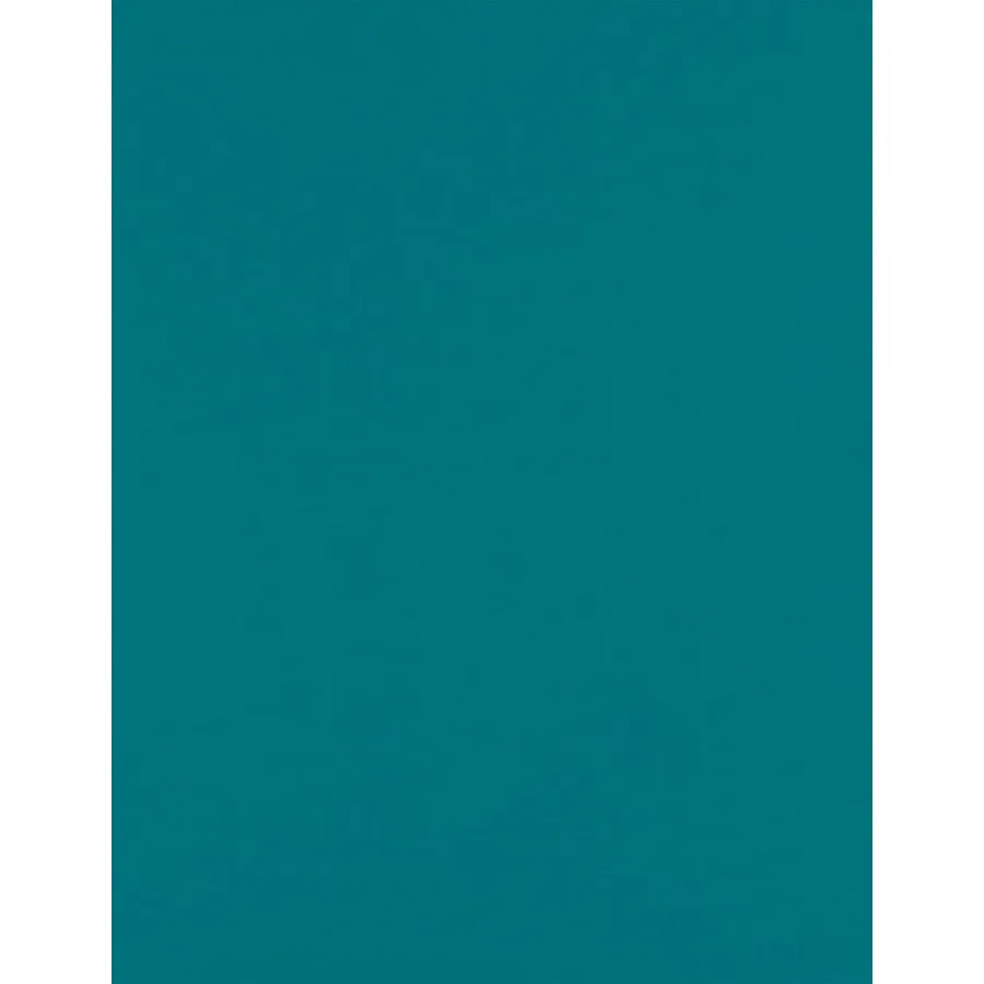 LUXPaper 8,5 x 11 дюймов, размер буквы, бирюзовый, 80 фунтов. Текст 500-е место
LUXPaper 8,5 x 11 дюймов, размер буквы, бирюзовый, 80 фунтов. Текст 500-е место