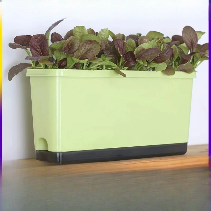 Special pot for growing vegetables on narrow side balcony Rectangle vegetable deepening planting box Artifact family long flower
Special pot for growing vegetables on narrow side balcony Rectangle vegetable deepening planting box Artifact family long flower