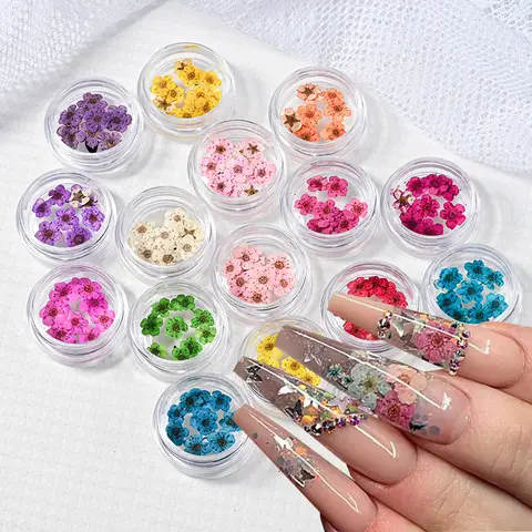 16Color Dried Flower Nail Art Decoration Mini Real Natural Daffodil Flower Nail Art Supplies 3D Dry Flowers Manicure DIY Design*