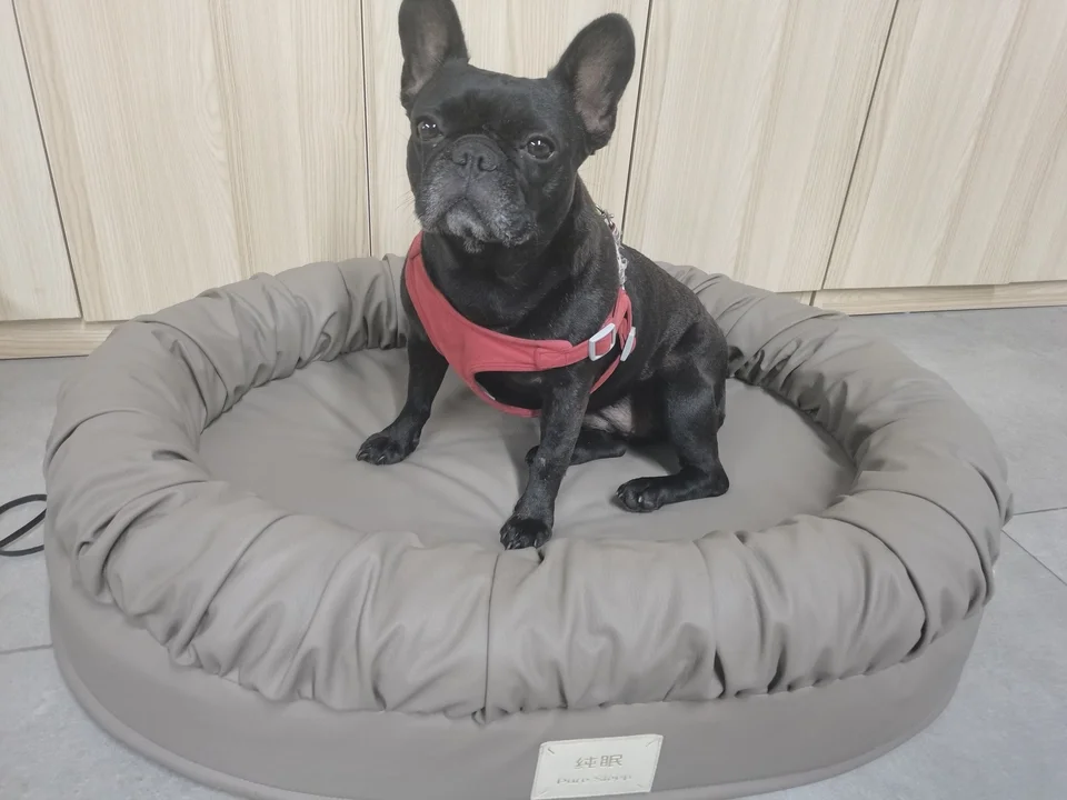 Removable Washable Large Dog Bed Non Collapse Pad Cat Bed for All Seasons Summer
Removable Washable Large Dog Bed Non Collapse Pad Cat Bed for All Seasons Summer