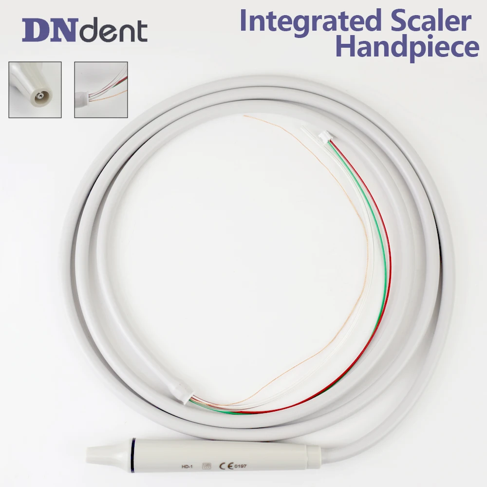Dental Ultrasonic Scaler Sealed handpiece HD-1 For Satelec D*E Scaler w*dpeck Dentistry Tools
Dental Ultrasonic Scaler Sealed handpiece HD-1 For Satelec D*E Scaler w*dpeck Dentistry Tools