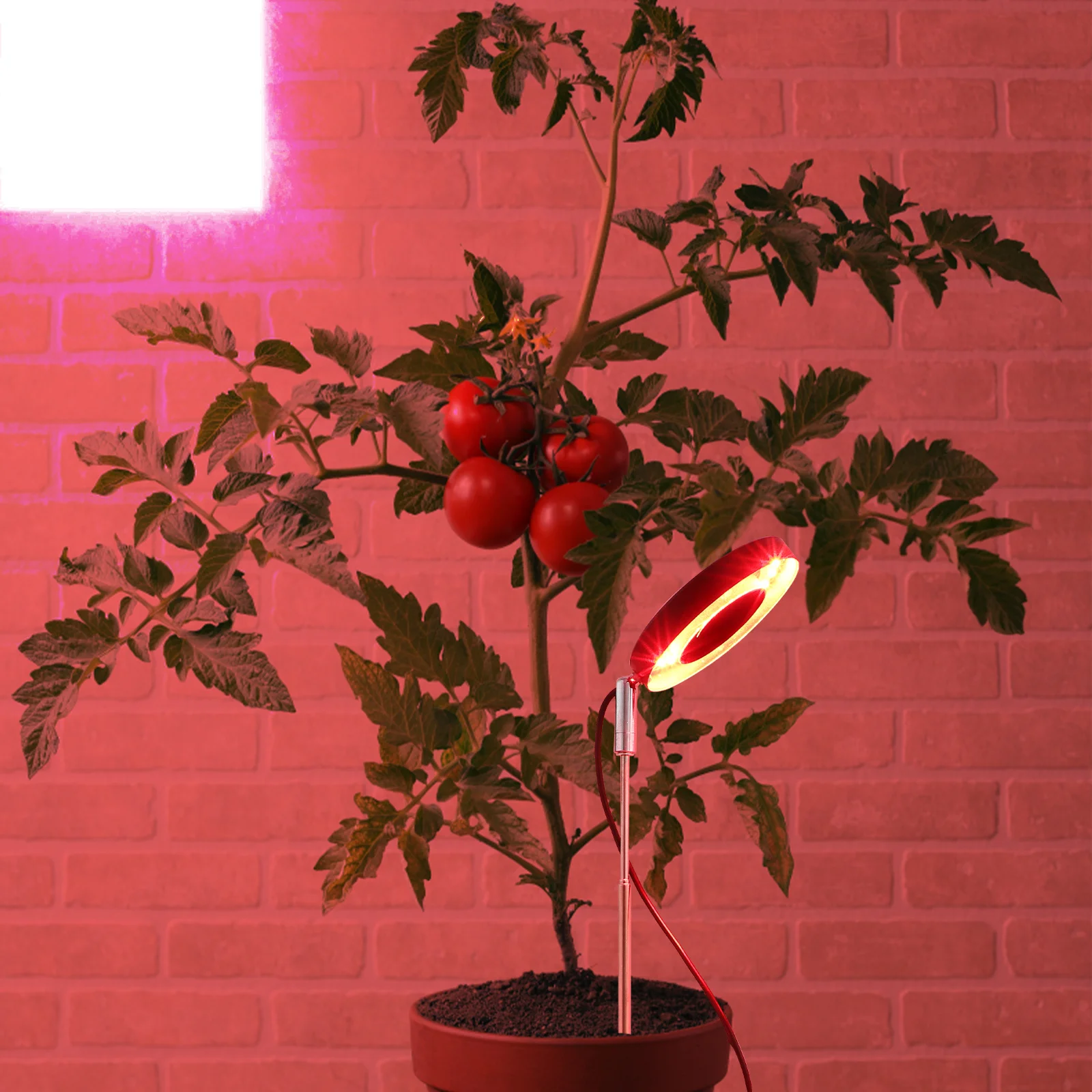 1Set Red Blue LED Grow Light Mimics Natural Sunlight Easy Installation for All Kinds of Plants Grow Lights LED Plant Light
1Set Red Blue LED Grow Light Mimics Natural Sunlight Easy Installation for All Kinds of Plants Grow Lights LED Plant Light