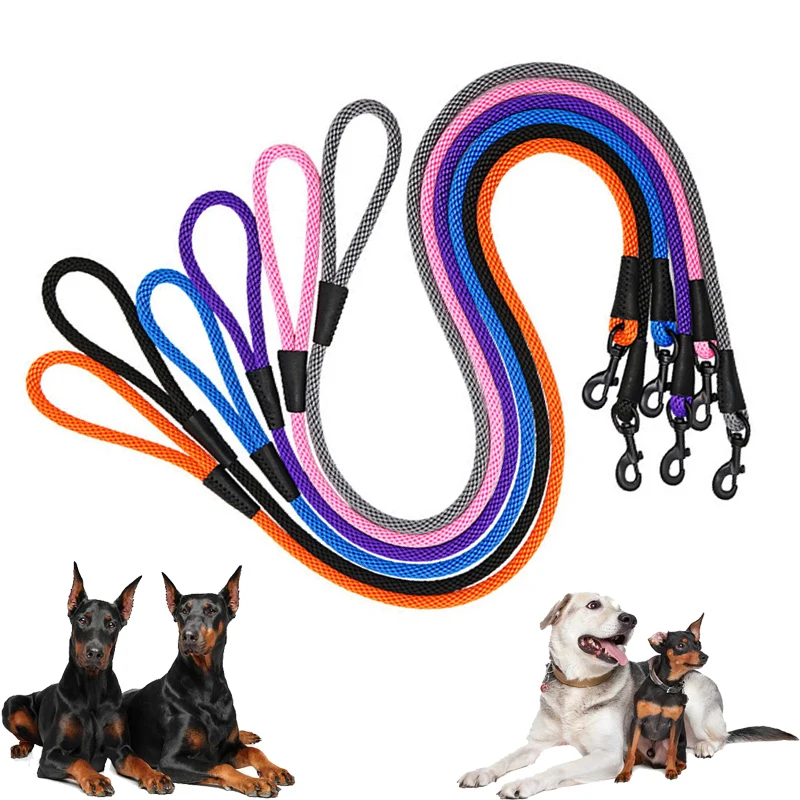 Dog Leash Durable Nylon Webbing Zinc Alloy Hook Suitable Leather Suture Dog Rope For Middle And Large Pet Dogs Leashes 4FT/6FT
Dog Leash Durable Nylon Webbing Zinc Alloy Hook Suitable Leather Suture Dog Rope For Middle And Large Pet Dogs Leashes 4FT/6FT