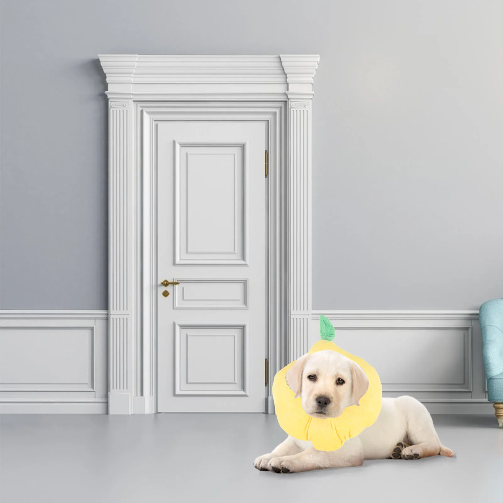 Fruit Design Cat Recovery Collar Lightweight Comfortable Cat Cone After Surgery Anti-Lick Collar Protective Pet Neck Decor
Fruit Design Cat Recovery Collar Lightweight Comfortable Cat Cone After Surgery Anti-Lick Collar Protective Pet Neck Decor