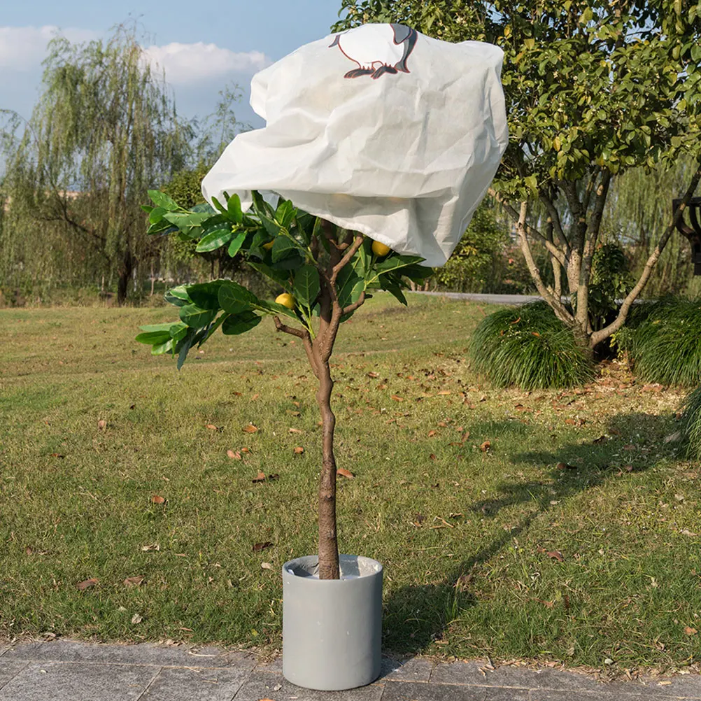 Freeze Cover Non Woven Antifreeze Bag Vegetable Fabric Tree Protection Outdoor Plant Protective Cover Winter Shrub Frost Proof
Freeze Cover Non Woven Antifreeze Bag Vegetable Fabric Tree Protection Outdoor Plant Protective Cover Winter Shrub Frost Proof