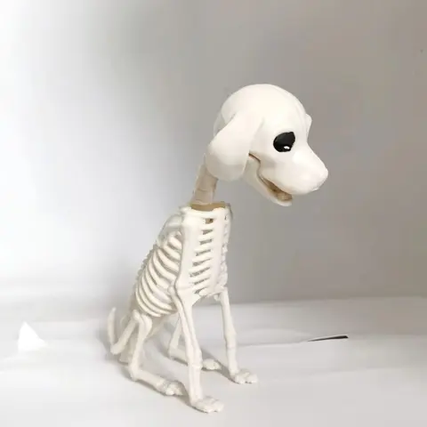 Decoração de Esqueleto de Cão para Halloween, Adereço Realista de Filhote, Estatueta de Esqueleto Animal de 22cm para Casa Assombrada, Festa no Quintal e Decoração Assustadora