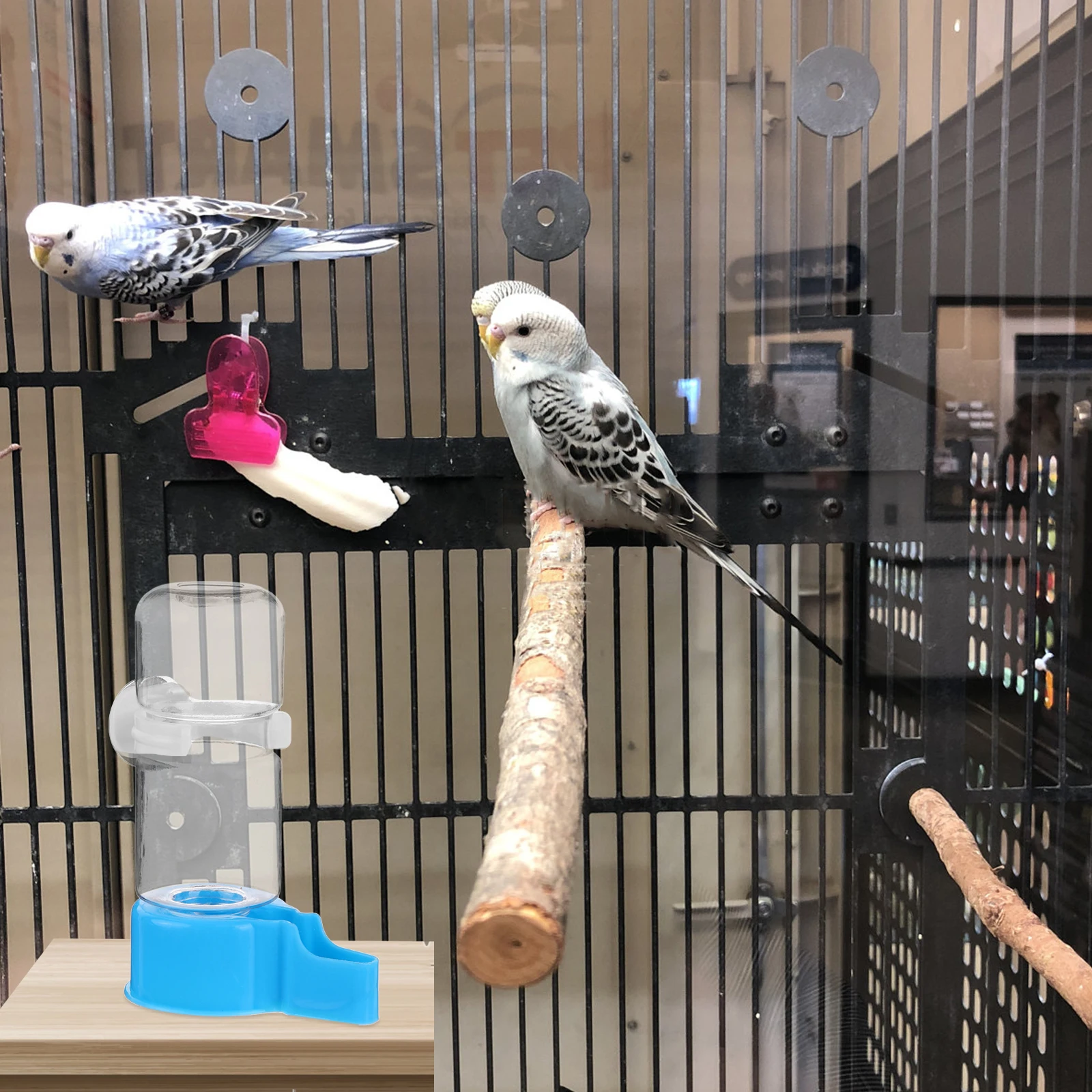 Suspend Bird Dispenser Parrot Cage Automatic Water Feeder For Pigeon Thrush Parakeet Sturdy Plastic Bird Drinking Tool Water 
Suspend Bird Dispenser Parrot Cage Automatic Water Feeder For Pigeon Thrush Parakeet Sturdy Plastic Bird Drinking Tool Water