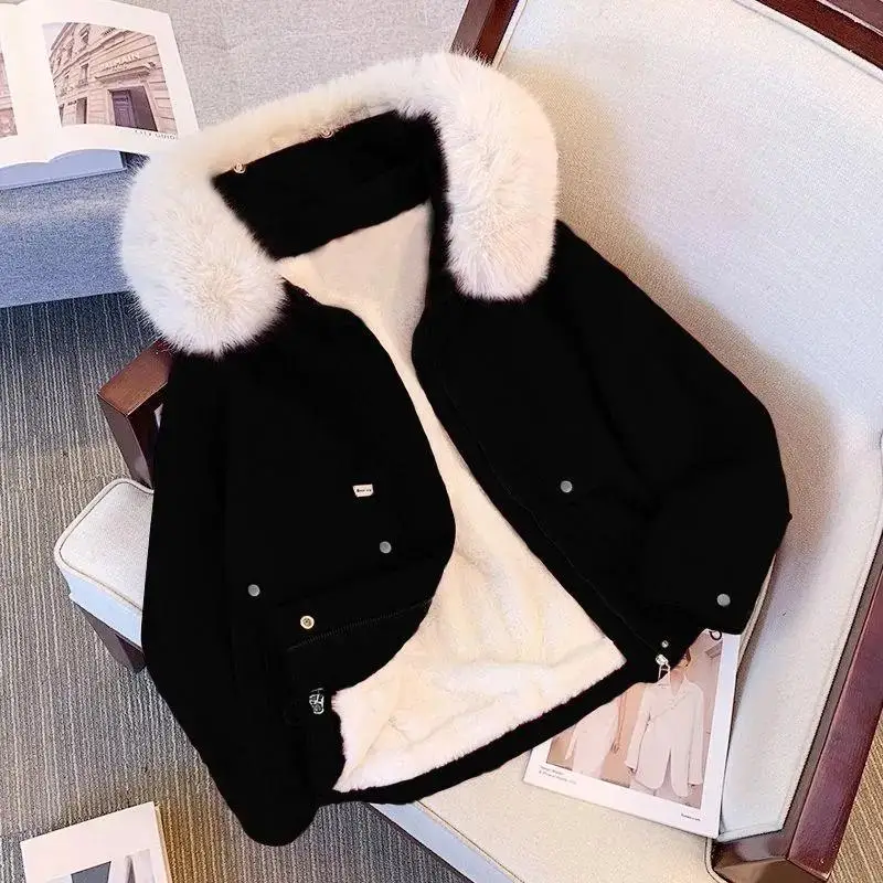 Parkas Hip Hop Womens Fall Weave Piped Flocking Skin-Friendly Interlining Woven Durable Fur-Collar V-Neck Matte Pure Turn-Down
Parkas Hip Hop Womens Fall Weave Piped Flocking Skin-Friendly Interlining Woven Durable Fur-Collar V-Neck Matte Pure Turn-Down