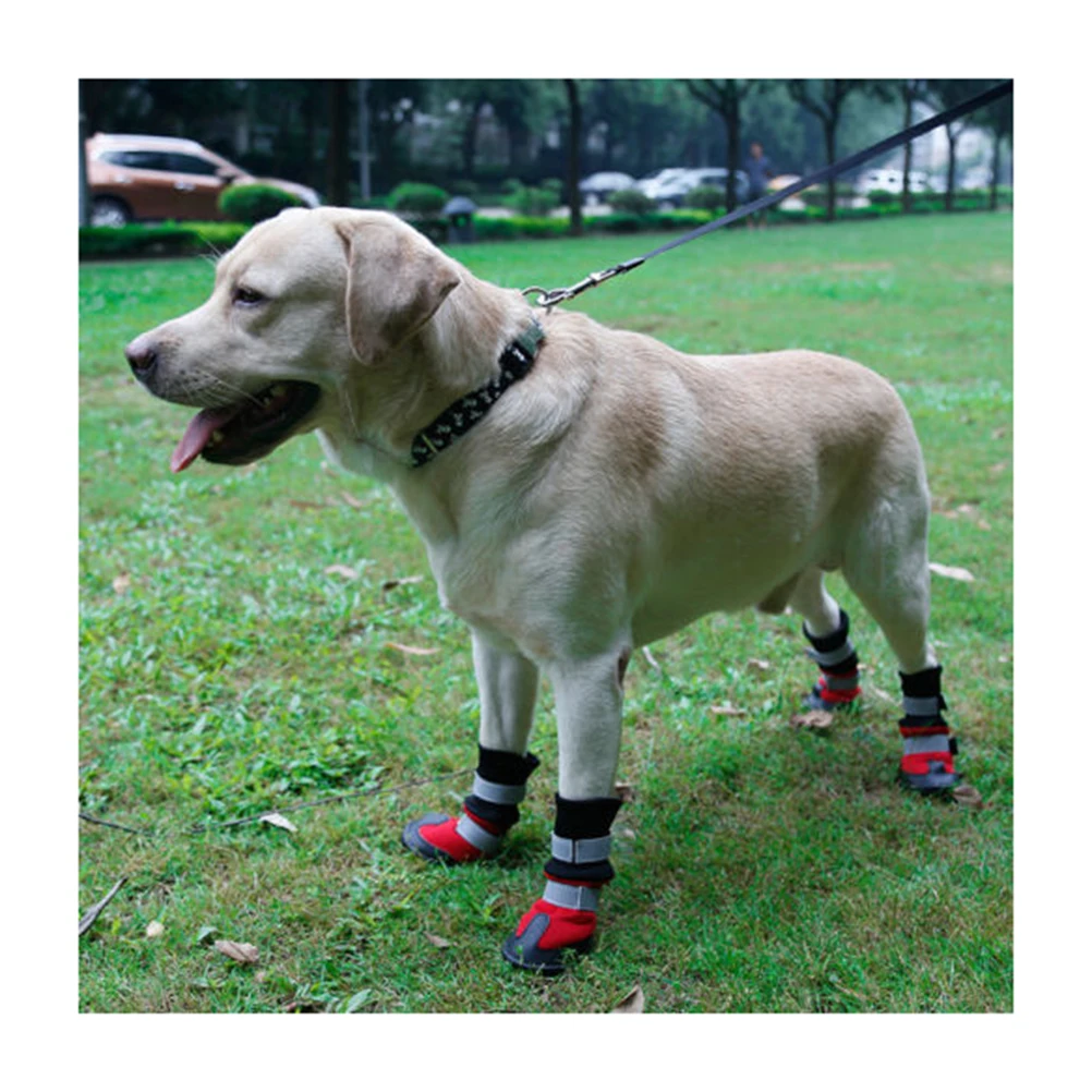 Dog Anti-slip Shoes Waterproof Rain Boots for Dogs Winter Pet Snow Ice Tough Soles Adjustable Closure Protect Paws Stones
Dog Anti-slip Shoes Waterproof Rain Boots for Dogs Winter Pet Snow Ice Tough Soles Adjustable Closure Protect Paws Stones