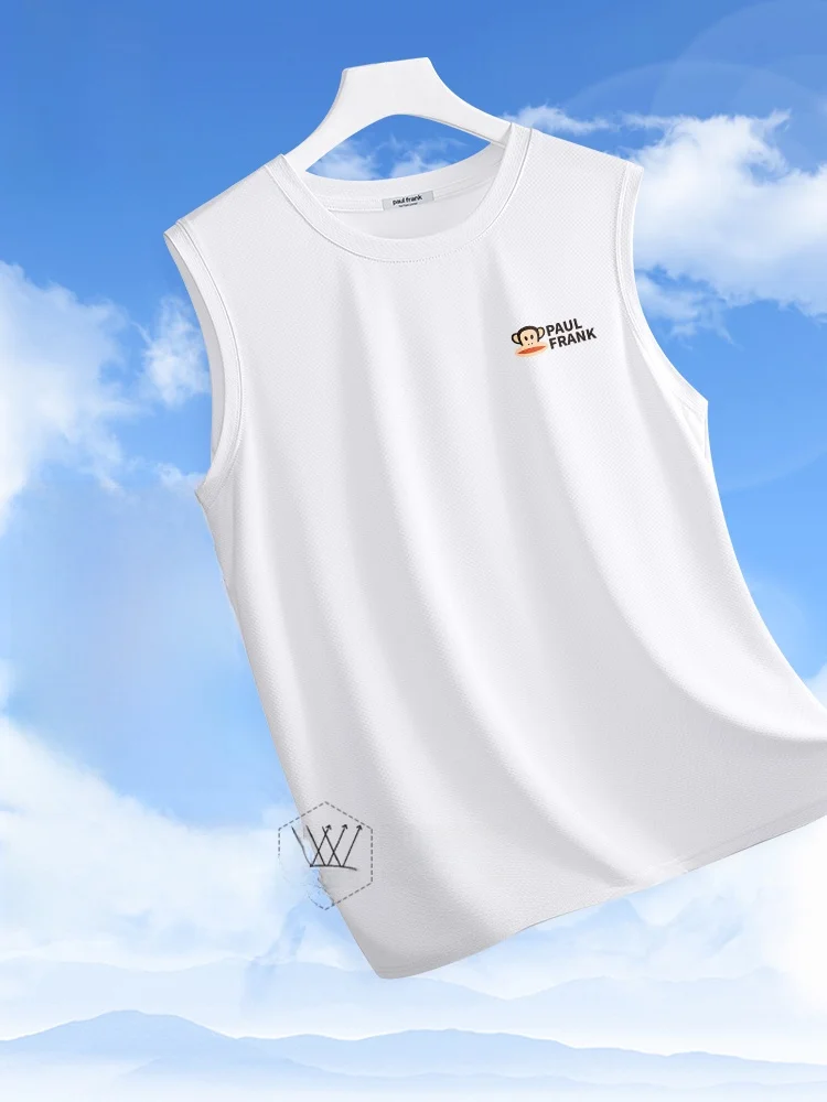 Мужская летняя спортивная майка из ледяного шелка: повседневная, быстросохнущая, дышащая, из полиэстера с эластичными волокнами, круглый вырез
Мужская летняя спортивная майка из ледяного шелка: повседневная, быстросохнущая, дышащая, из полиэстера с эластичными волокнами, круглый вырез