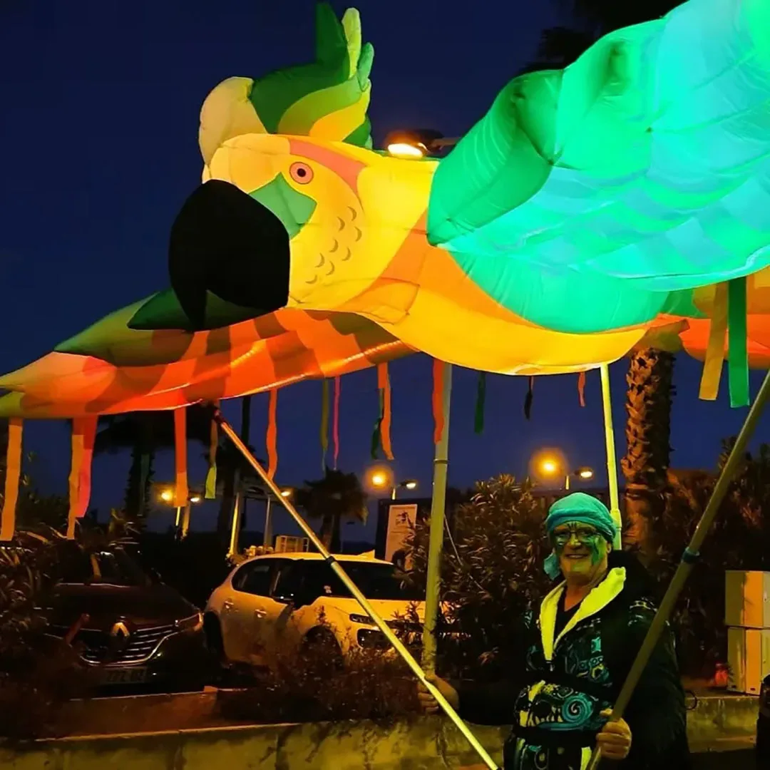 Гигантский надувной попугай с белой светодиодной подсветкой, воздушный удар, птица, кукла, карнавальный парад, реквизит для выступлений на открытом воздухе для рекламы
Гигантский надувной попугай с белой светодиодной подсветкой, воздушный удар, птица, кукла, карнавальный парад, реквизит для выступлений на открытом воздухе для рекламы