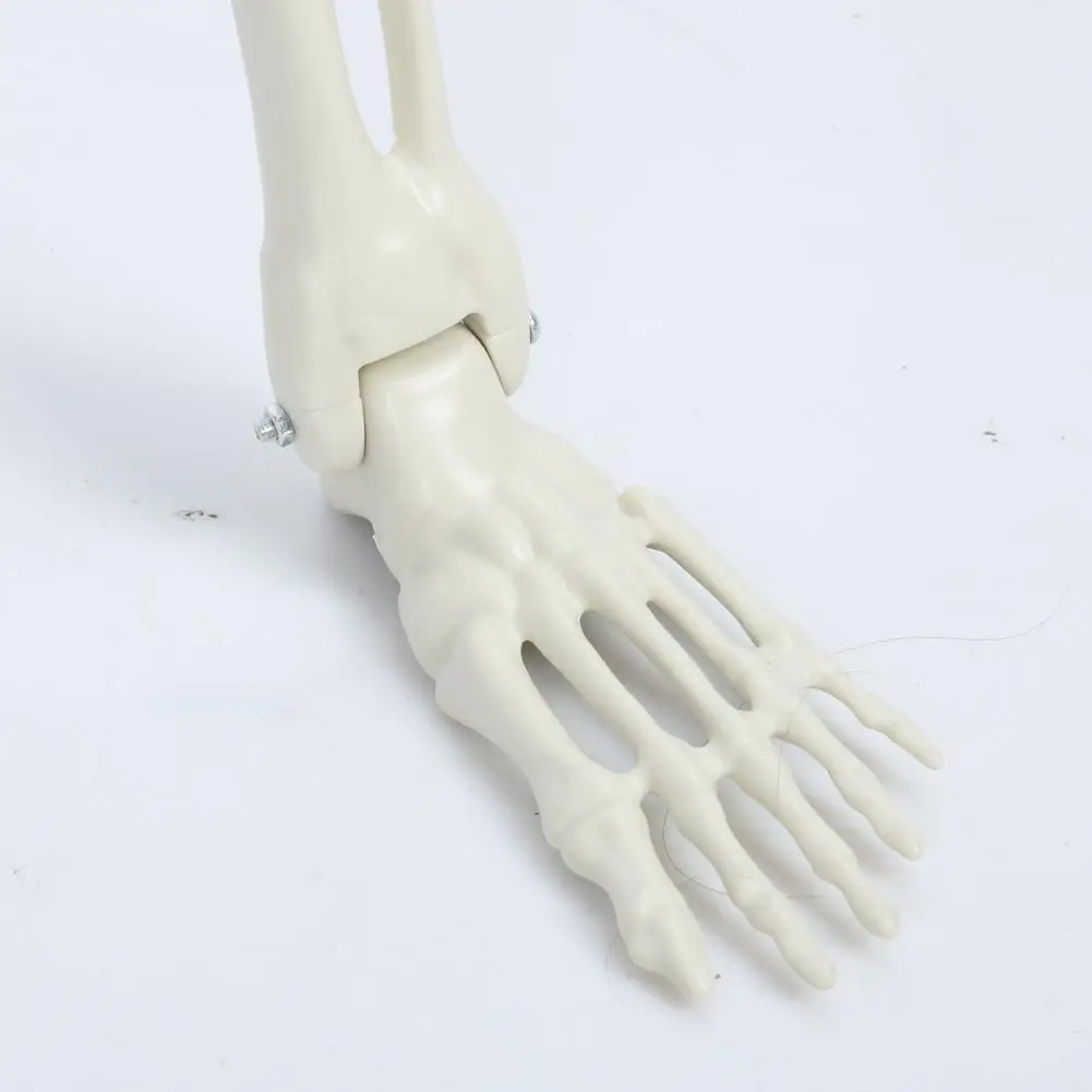 5.4FT Halloween Life Size Light-up Skeleton Decor Movable Joints Realistic Full Body Bones Skeleton Prop with Glowing Eyes
5.4FT Halloween Life Size Light-up Skeleton Decor Movable Joints Realistic Full Body Bones Skeleton Prop with Glowing Eyes