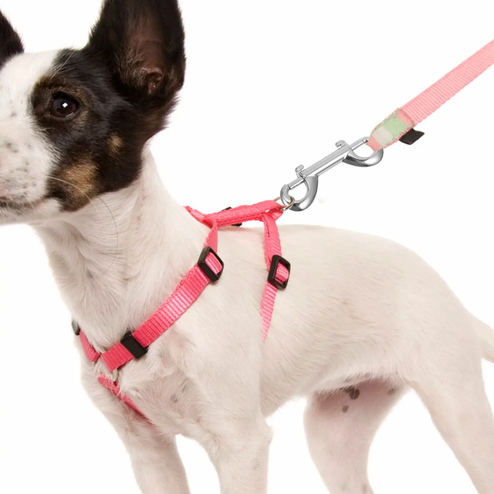 10pcs Headed Buckle Bolt Snap Hooks Metal Clips Double Ended Snaps Bolt Snaps Double Ended Hook Key Chain Pet Leash Hardware
10pcs Headed Buckle Bolt Snap Hooks Metal Clips Double Ended Snaps Bolt Snaps Double Ended Hook Key Chain Pet Leash Hardware