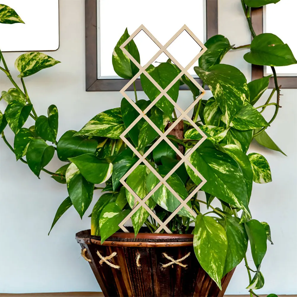 Gardening Plant Support Frame Tomato Climbing Vegetable Trellis for Vine Planting Bed Outdoor
Gardening Plant Support Frame Tomato Climbing Vegetable Trellis for Vine Planting Bed Outdoor