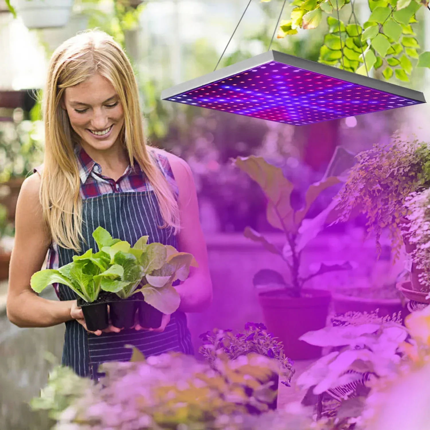 LED indoor plant light full spectrum LED growth board cultivation plant light planting flowers and seedlings hydroponic growth
LED indoor plant light full spectrum LED growth board cultivation plant light planting flowers and seedlings hydroponic growth