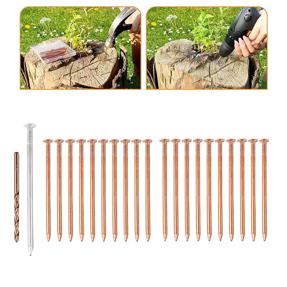 20pcs 3.5-Inch Copper Nails Tree Killer Nails Copper Tree Stump Killer For Tree Stump Removal Killing Trees Stump
20pcs 3.5-Inch Copper Nails Tree Killer Nails Copper Tree Stump Killer For Tree Stump Removal Killing Trees Stump