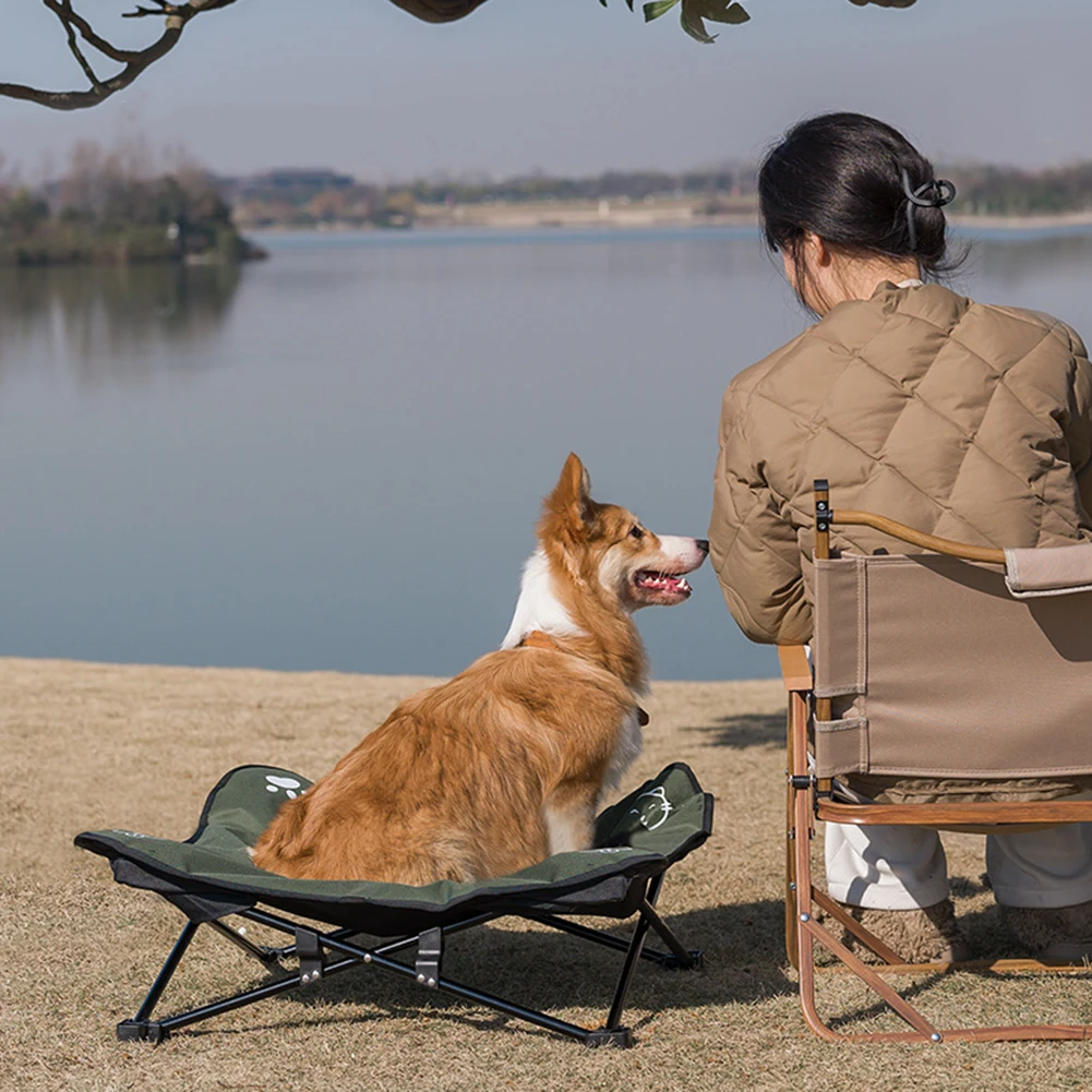 ShineTrip Elevated Dog Cat Bed Camping Folding Pet Cot Aluminum Alloy with Carrying Bag for Indoor & Outdoor Use Mat Camping Bed
ShineTrip Elevated Dog Cat Bed Camping Folding Pet Cot Aluminum Alloy with Carrying Bag for Indoor & Outdoor Use Mat Camping Bed