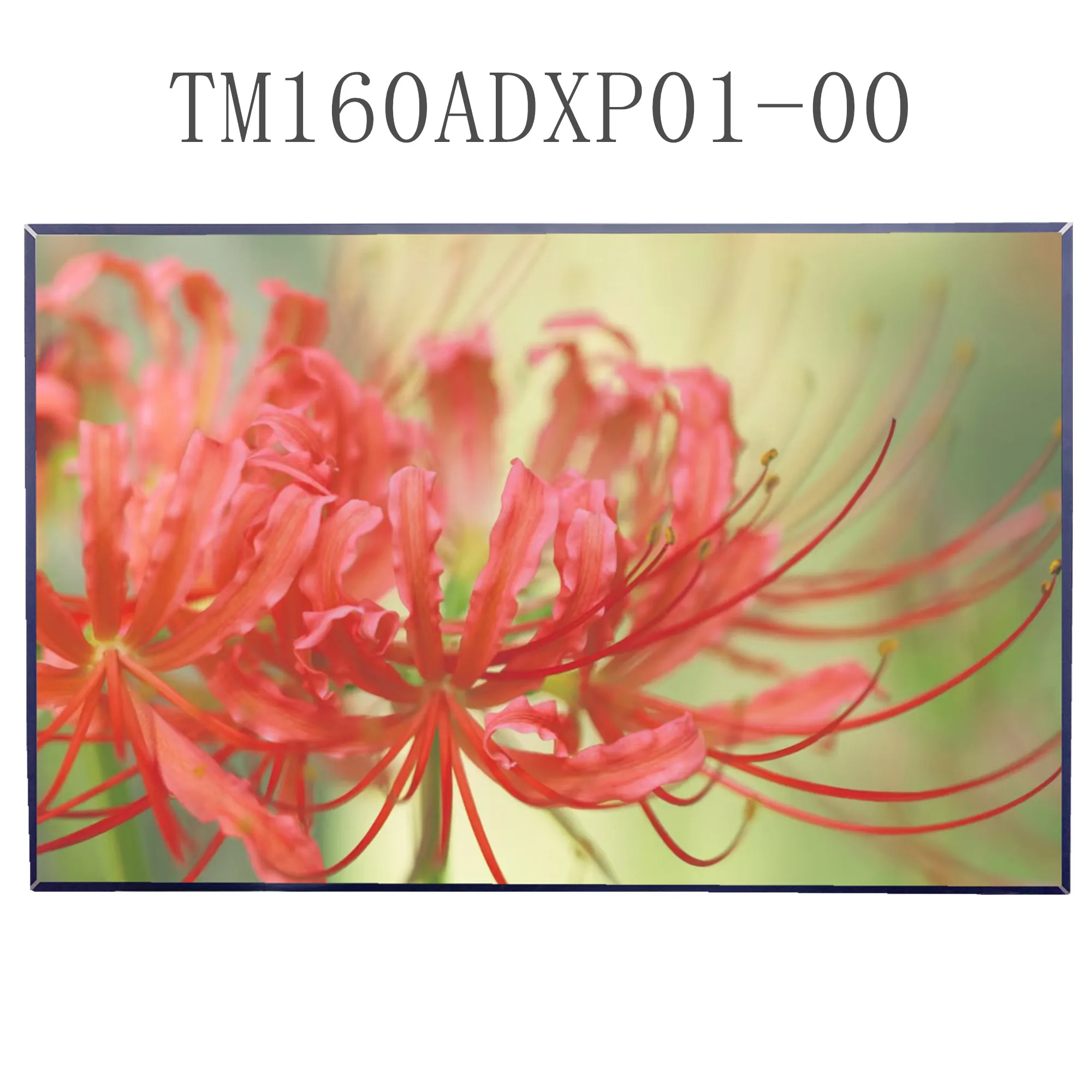 TM160ADXP01-00 16.0'' Laptop LCD Screen Display Panel Matrix
TM160ADXP01-00 16.0'' Laptop LCD Screen Display Panel Matrix
