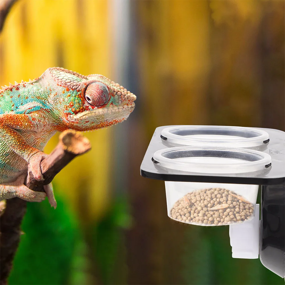 Sturdy Reptile Feeder 2pcs Ledge Plastic Food Water Bowl Cage Accessories for Turtle Pet Supplies Feeding Ledge
Sturdy Reptile Feeder 2pcs Ledge Plastic Food Water Bowl Cage Accessories for Turtle Pet Supplies Feeding Ledge
