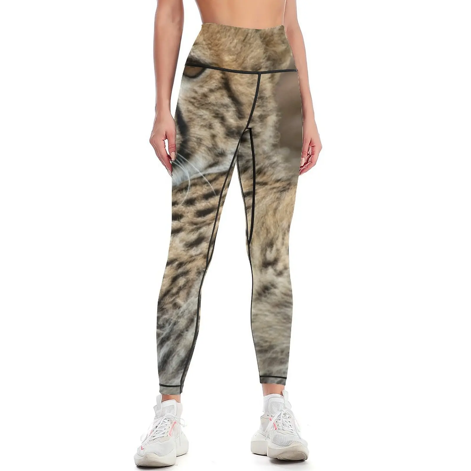 Animal Portrait - Cheetah (1) Leggings Fitness's gym clothes Fitness clothing Women's sports Womens Leggings
Animal Portrait - Cheetah (1) Leggings Fitness's gym clothes Fitness clothing Women's sports Womens Leggings