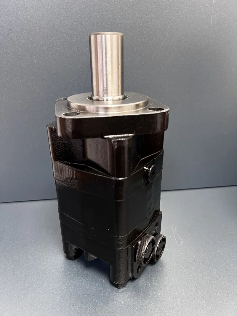 Bmsy-160 200 315 400-E4gd оригинальный циклоидный гидравлический двигатель Zhenjiang Dali Совершенно новый
Bmsy-160 200 315 400-E4gd оригинальный циклоидный гидравлический двигатель Zhenjiang Dali Совершенно новый