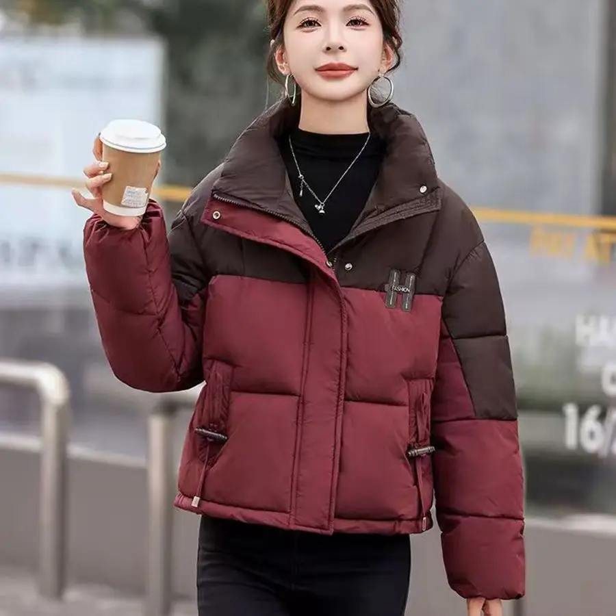 Новая зимняя женская утепленная повседневная куртка с воротником-стойкой из хлопка, универсальная верхняя одежда высокого качества от китайского бренда
Новая зимняя женская утепленная повседневная куртка с воротником-стойкой из хлопка, универсальная верхняя одежда высокого качества от китайского бренда