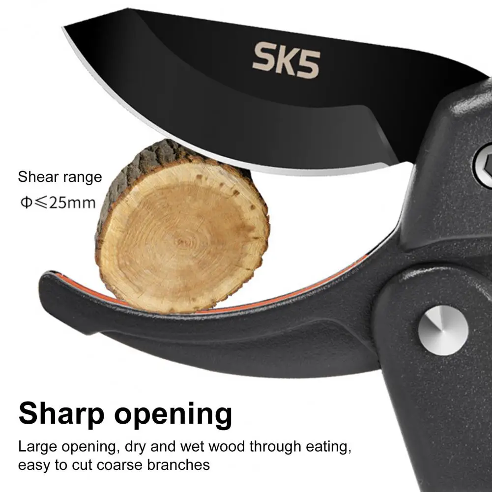 Эргономичные ножницы Садовые ножницы Секаторы премиум-класса с острыми лезвиями Эргономичная ручка для безопасной эффективной садовой руки
Эргономичные ножницы Садовые ножницы Секаторы премиум-класса с острыми лезвиями Эргономичная ручка для безопасной эффективной садовой руки