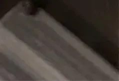 Прозрачный пенал на молнии с милым бантом, студенческая сумка для хранения канцелярских принадлежностей, большая вместительная косметичка, мультяшная сумка для ручек на молнии
Прозрачный пенал на молнии с милым бантом, студенческая сумка для хранения канцелярских принадлежностей, большая вместительная косметичка, мультяшная сумка для ручек на молнии