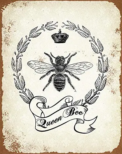 Queen Bee Retro Street Sign Household Metal Tin Sign Bar Cafe Car Motorcycle Garage Decoration Supplies
Queen Bee Retro Street Sign Household Metal Tin Sign Bar Cafe Car Motorcycle Garage Decoration Supplies