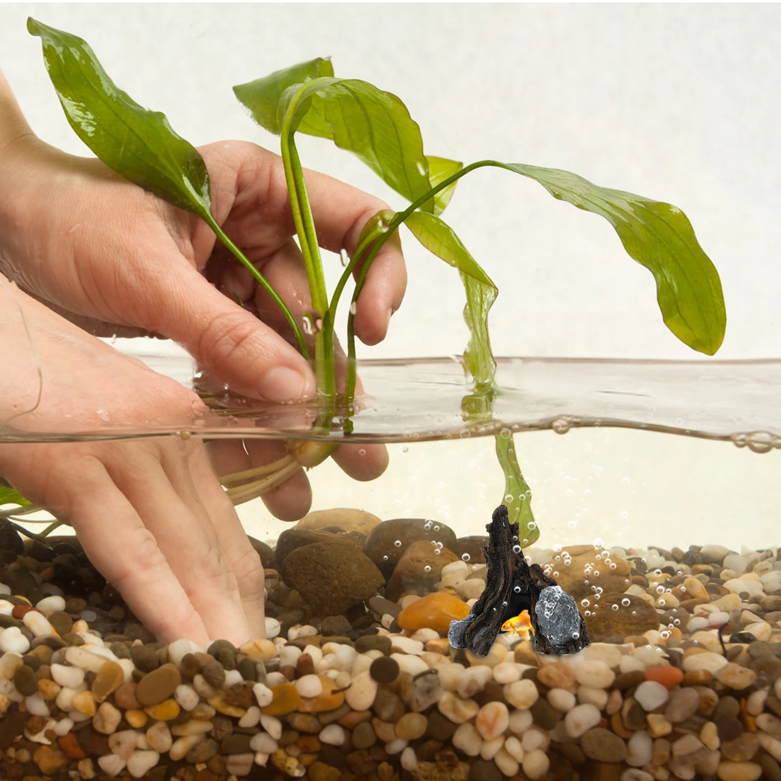 Reptile Hideout Resin Terrace for Reptiles Basking Platform Pet Hiding Cave Landscaping Decor Aquarium Garden Living Room
Reptile Hideout Resin Terrace for Reptiles Basking Platform Pet Hiding Cave Landscaping Decor Aquarium Garden Living Room