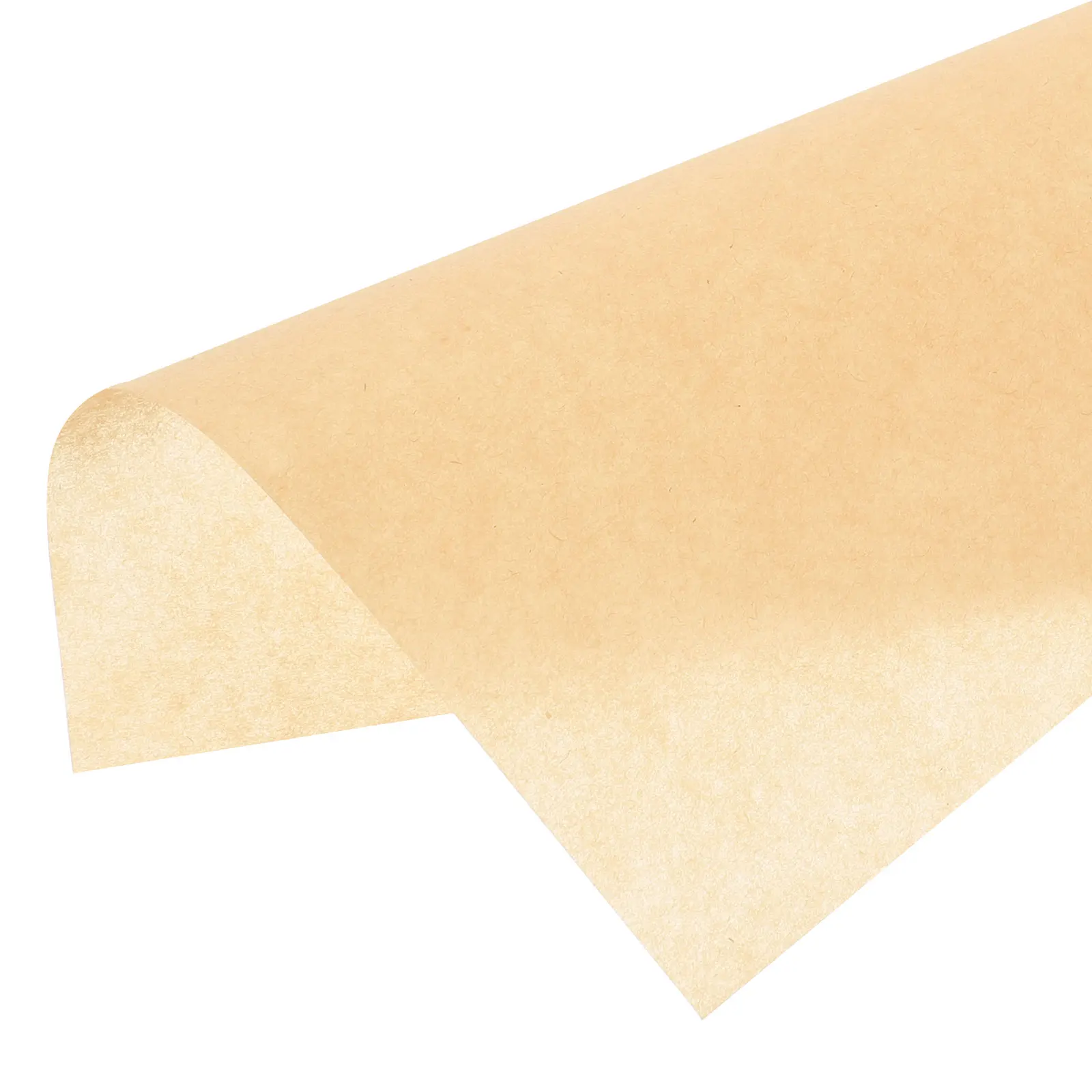 Silicone Baking Paper Unbleached Parchment Food Frying Meat Cooking Separating Pad Non Stick Resistant Practical
Silicone Baking Paper Unbleached Parchment Food Frying Meat Cooking Separating Pad Non Stick Resistant Practical