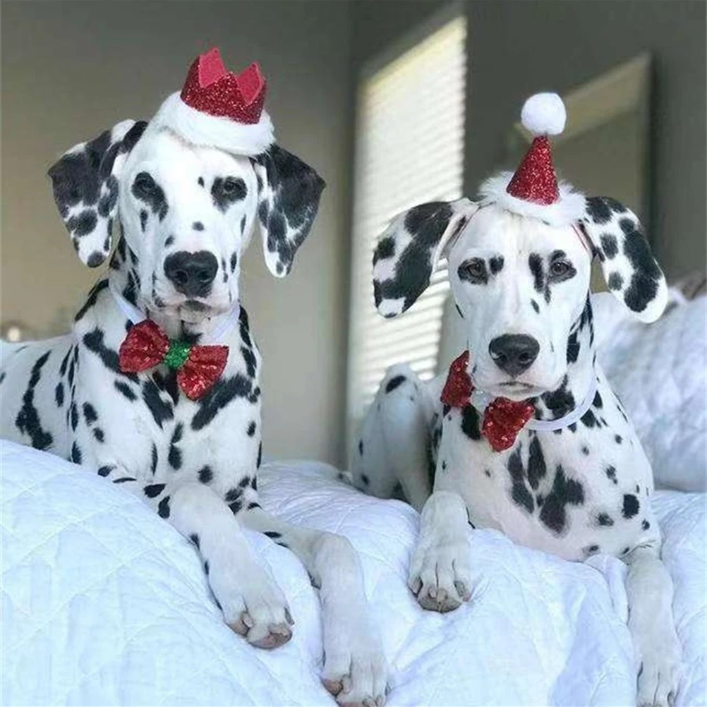 2 Pcs Pet Christmas Headdress Bow Tie Dog Hat Costume Has The Cat Party Bridegroom
2 Pcs Pet Christmas Headdress Bow Tie Dog Hat Costume Has The Cat Party Bridegroom