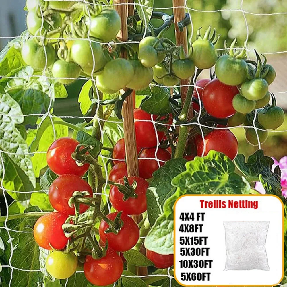 Garden Trellis Netting White Abrasion Heavy Duty Polyester Climbing Net for Plants Tomato Outdoor Gardening Accessories Shed
Garden Trellis Netting White Abrasion Heavy Duty Polyester Climbing Net for Plants Tomato Outdoor Gardening Accessories Shed
