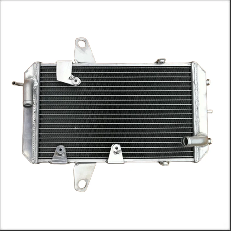 Aluminum Radiator For ATV Cam Am DS450 DS 450 2008 2009 2010 2011
Aluminum Radiator For ATV Cam Am DS450 DS 450 2008 2009 2010 2011